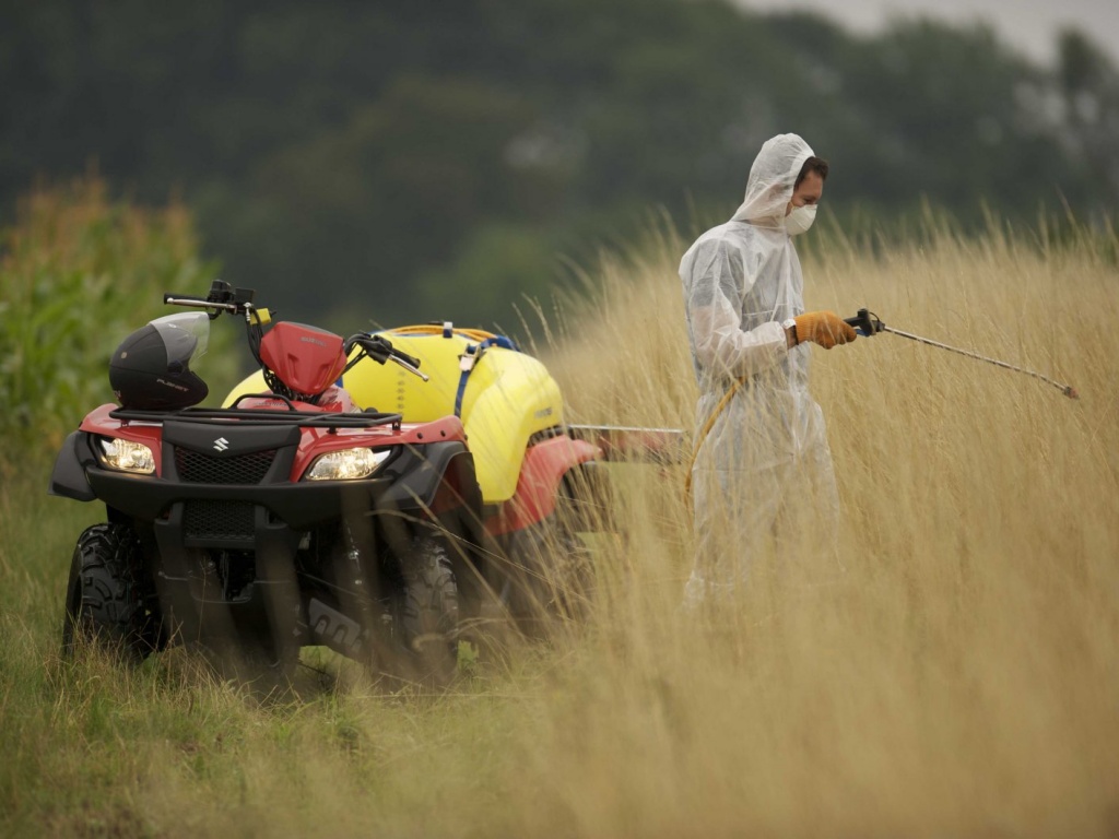 Фото квадроцикла Suzuki LT-A500XP KingQuad